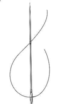 A needle, symbolizing the craft of handloom weaving